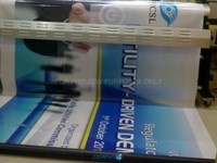 Picture 13.jpg